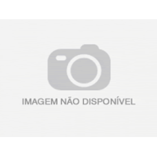 PARAFUSO DA PALHETA